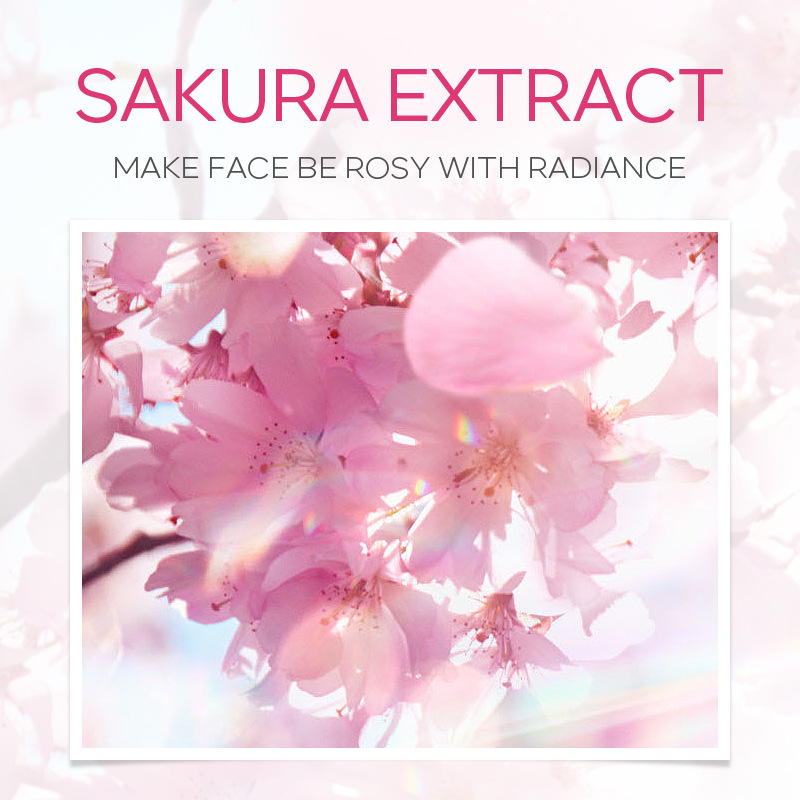 Sakura Mặt Rửa Mặt Hàn Quốc Se - đánh giá và giá Korean Skincare Routine